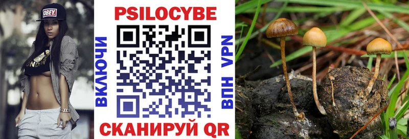 Псилоцибиновые грибы MAGIC MUSHROOMS  Бугульма 